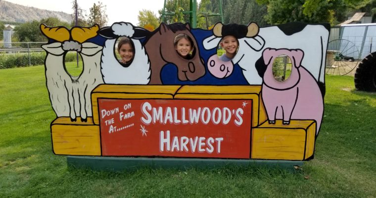 Farm Fun at Smallwood’s Harvest