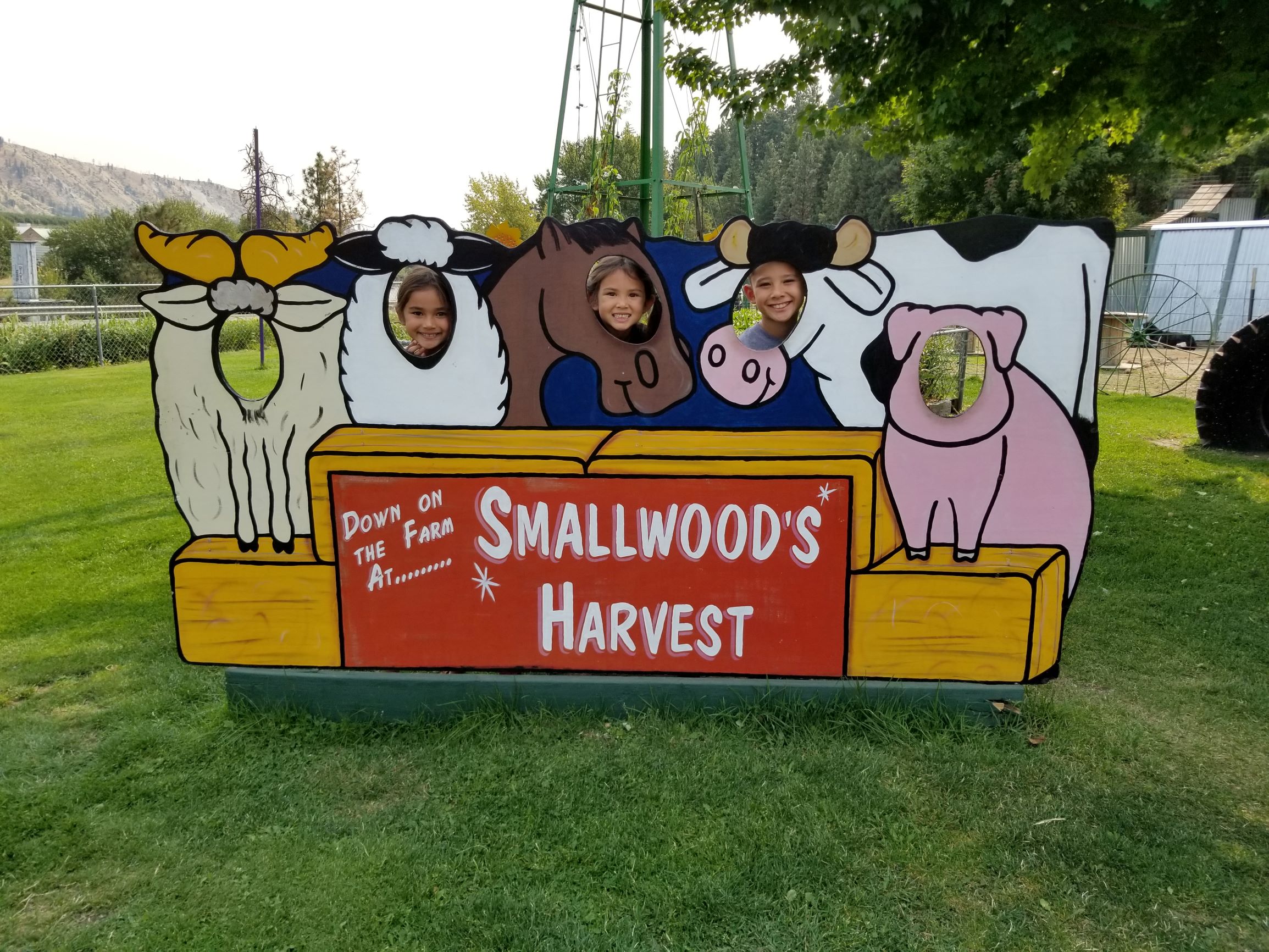 Farm Fun at Smallwood’s Harvest