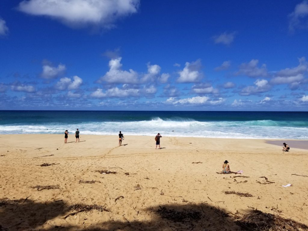 North Shore beaches.