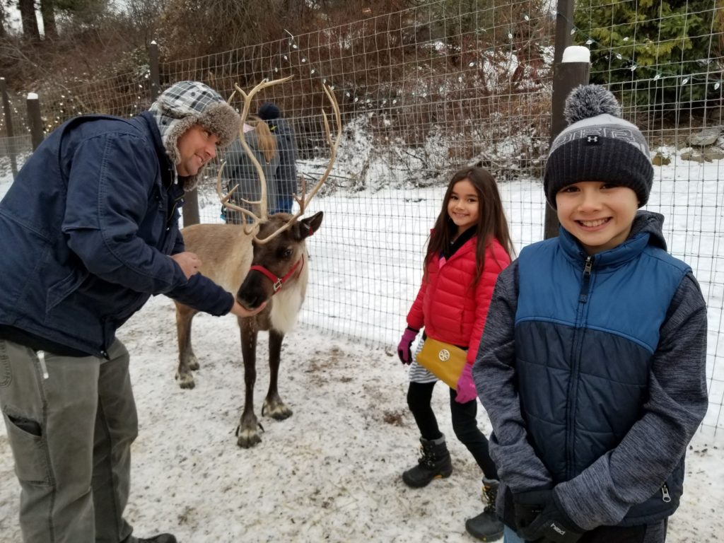 feeding reindeer at the leavenworth reindeer farm!