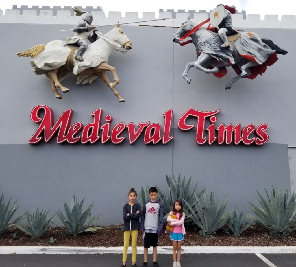 field trip to medieval times