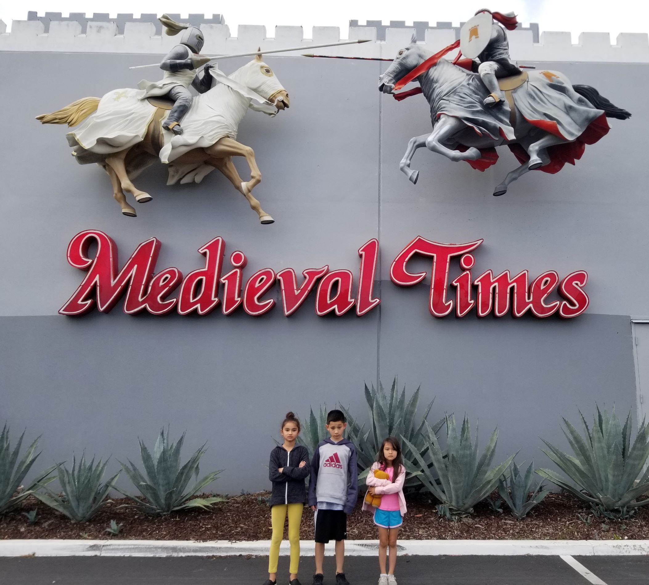 Middle Ages Field Trip Idea: Medieval Times Dinner and Tournament