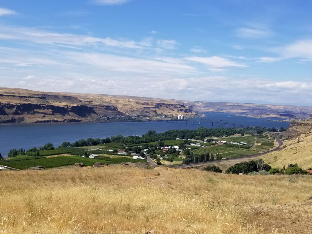 One of our family road trip views along the Columbia River Gorge.