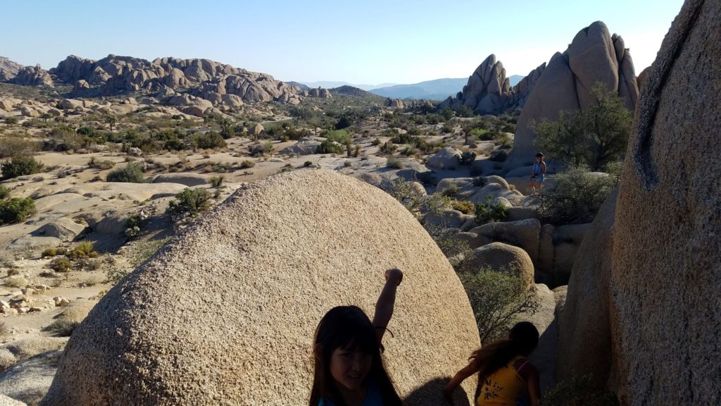 Skull Rock Trail at Joshua Tree National Park with kids.