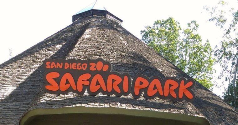 Photos and Videos That Will Make You Want to Take Your Kids to San Diego Safari Park