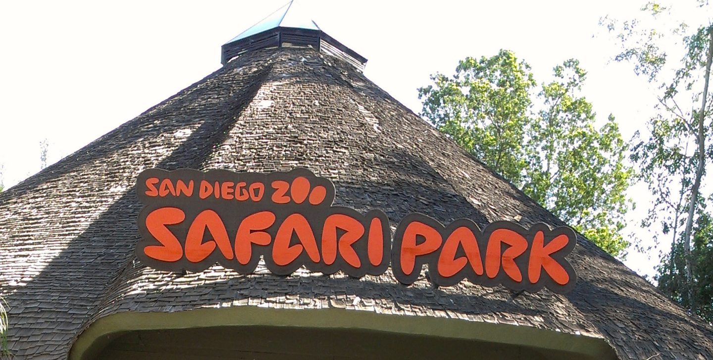 Photos and Videos That Will Make You Want to Take Your Kids to San Diego Safari Park