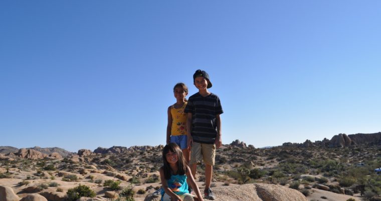 Roadschooling Joshua Tree National Park