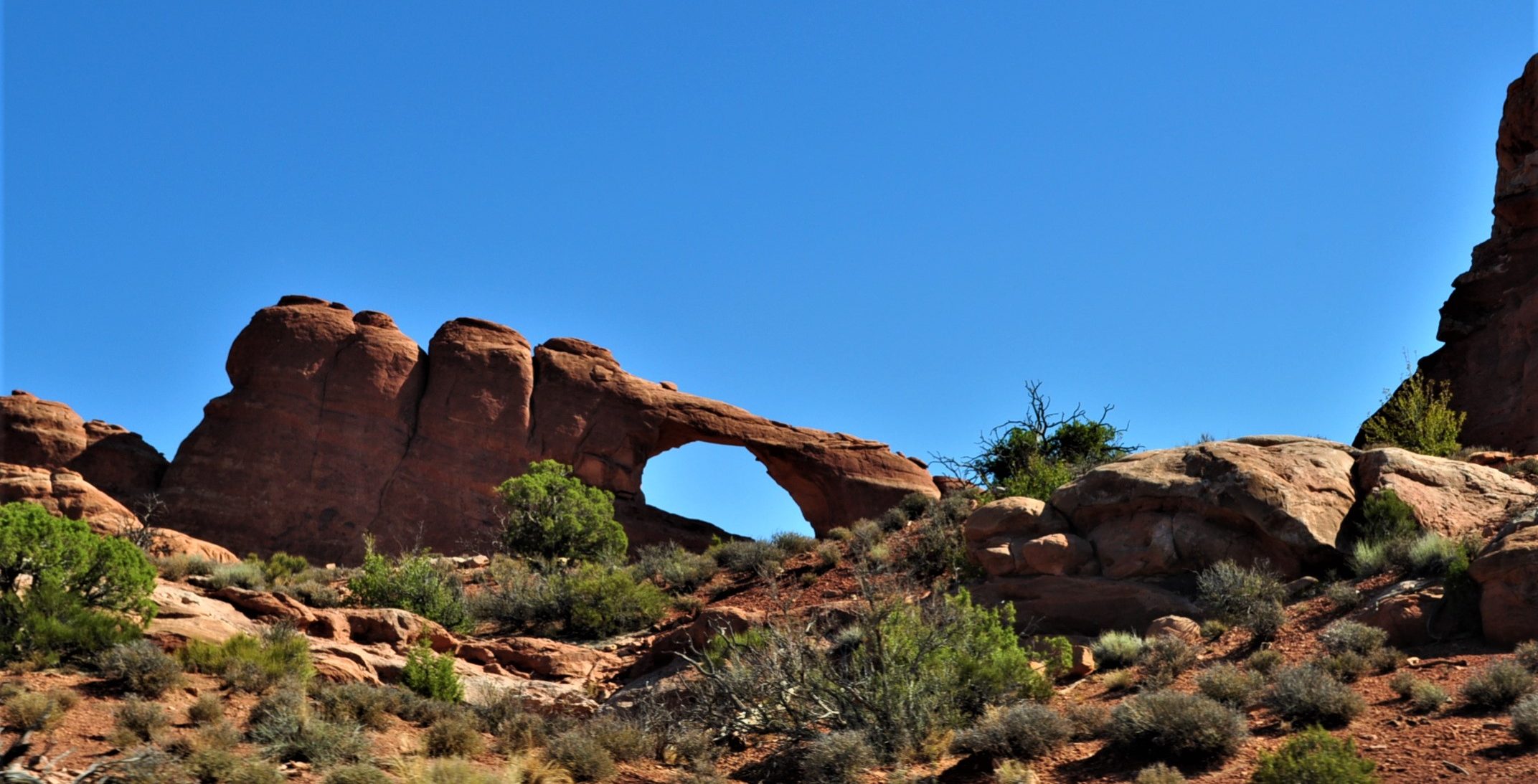 Roadschooling Arches National Park
