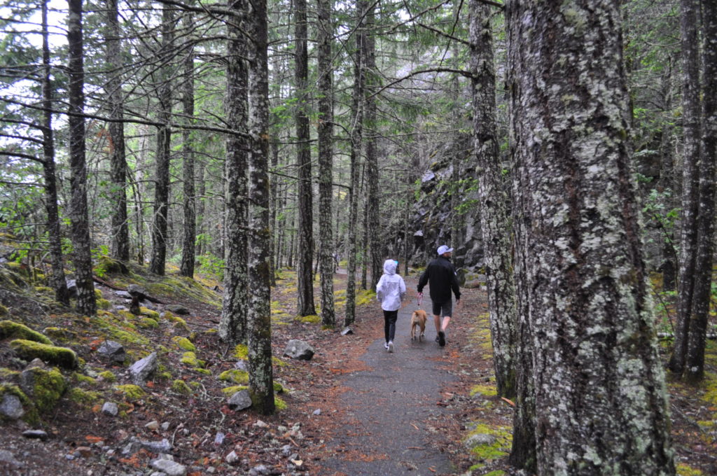 roadschooling through north cascades national park, day 2